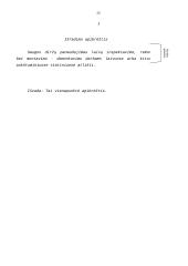 Patentotyra 13 puslapis