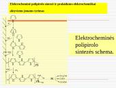 Elektrocheminis DNR nustatymas naudojant polipirolu modifikuotus elektrodus 8 puslapis
