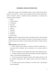 Apskaitos ir audito ryšys. Bendrieji apskaitos principai 6 puslapis