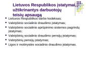 Darbo teisės subjektų lygybė nepaisant jų rasės, tautybės, pilietybės 13 puslapis
