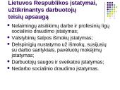 Darbo teisės subjektų lygybė nepaisant jų rasės, tautybės, pilietybės 14 puslapis