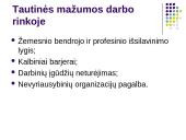 Darbo teisės subjektų lygybė nepaisant jų rasės, tautybės, pilietybės 17 puslapis