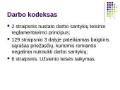 Darbo teisės subjektų lygybė nepaisant jų rasės, tautybės, pilietybės 5 puslapis