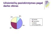 Darbo teisės subjektų lygybė nepaisant jų rasės, tautybės, pilietybės 9 puslapis