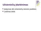 Darbo teisės subjektų lygybė nepaisant jų rasės, tautybės, pilietybės 10 puslapis