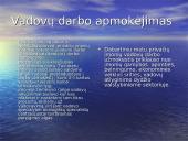 Darbo užmokesčio svarbiausi aspektai 5 puslapis