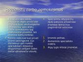 Darbo užmokesčio svarbiausi aspektai 6 puslapis