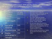 Darbo užmokesčio svarbiausi aspektai 7 puslapis