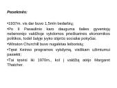 Didžioji Depresija Europoje 17 puslapis