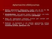 Efektyvaus klientų aptarnavimo elementai 10 puslapis