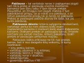 Ekologiškų produktų paklausa 3 puslapis