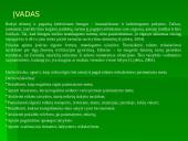 Etiketas pirmojo pasimatymo metu