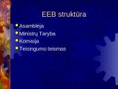 Europos ekonominės bendrijos ir Euratomo įkūrimas 7 puslapis