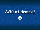 F. Tailoro indėlis į vadybą 15 puslapis