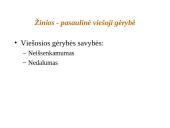 Gyventojų išsilavinimas: raštingumas, švietimas, žinios 11 puslapis