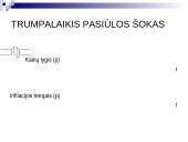 Infliacijos esmė, formos bei priežastys 11 puslapis