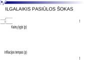 Infliacijos esmė, formos bei priežastys 12 puslapis