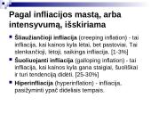 Infliacijos esmė, formos bei priežastys 13 puslapis