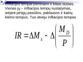 Infliacijos esmė, formos bei priežastys 16 puslapis