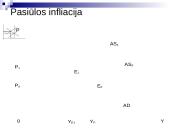 Infliacijos esmė, formos bei priežastys 8 puslapis