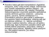 Infliacijos esmė, formos bei priežastys 10 puslapis