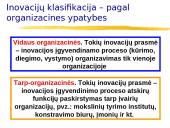 Inovacijos: samprata ir stereotipai 13 puslapis