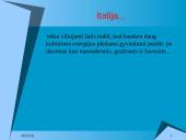 Italijos nacionalinės ir verslo kultūros ypatumai 17 puslapis