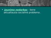 Jaunimo nedarbas Lietuvoje - aktuali socialinė problema 2 puslapis