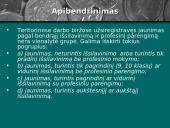 Jaunimo nedarbas Lietuvoje - aktuali socialinė problema 12 puslapis
