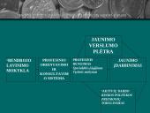 Jaunimo nedarbas Lietuvoje - aktuali socialinė problema 13 puslapis