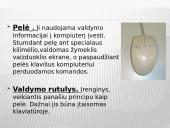 Kompiuterio įvesties įrenginiai bei išvesties įrenginiai 4 puslapis
