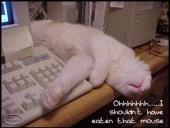 Kompiuteris mūsų kasdieniniame gyvenime 11 puslapis