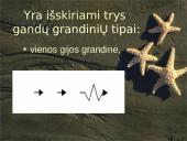 Komunikacijos rūšys (elementai, etapai) ir reikšmė 13 puslapis