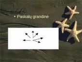 Komunikacijos rūšys (elementai, etapai) ir reikšmė 14 puslapis