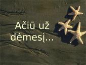 Komunikacijos rūšys (elementai, etapai) ir reikšmė 19 puslapis