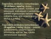 Komunikacijos rūšys (elementai, etapai) ir reikšmė 9 puslapis