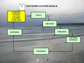 Lietuvos strateginiai dokumentai 11 puslapis