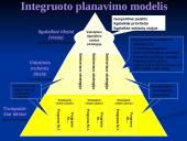 Lietuvos strateginiai dokumentai 12 puslapis