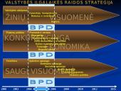 Lietuvos strateginiai dokumentai 14 puslapis
