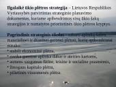Lietuvos strateginiai dokumentai 16 puslapis