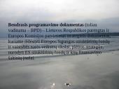 Lietuvos strateginiai dokumentai 18 puslapis