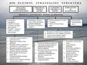 Lietuvos strateginiai dokumentai 20 puslapis
