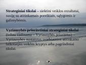 Lietuvos strateginiai dokumentai 6 puslapis