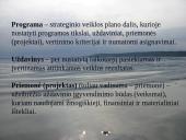 Lietuvos strateginiai dokumentai 7 puslapis