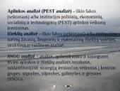 Lietuvos strateginiai dokumentai 8 puslapis