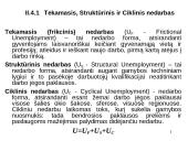 Makroekonomika - pradmenys 14 puslapis