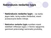 Natūralus nedarbo lygis 4 puslapis