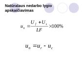 Natūralus nedarbo lygis 5 puslapis