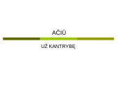 Darbo kompiuteriu ir interneto etika 9 puslapis