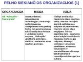 Organizacijų misijos ir vizijos 2 puslapis